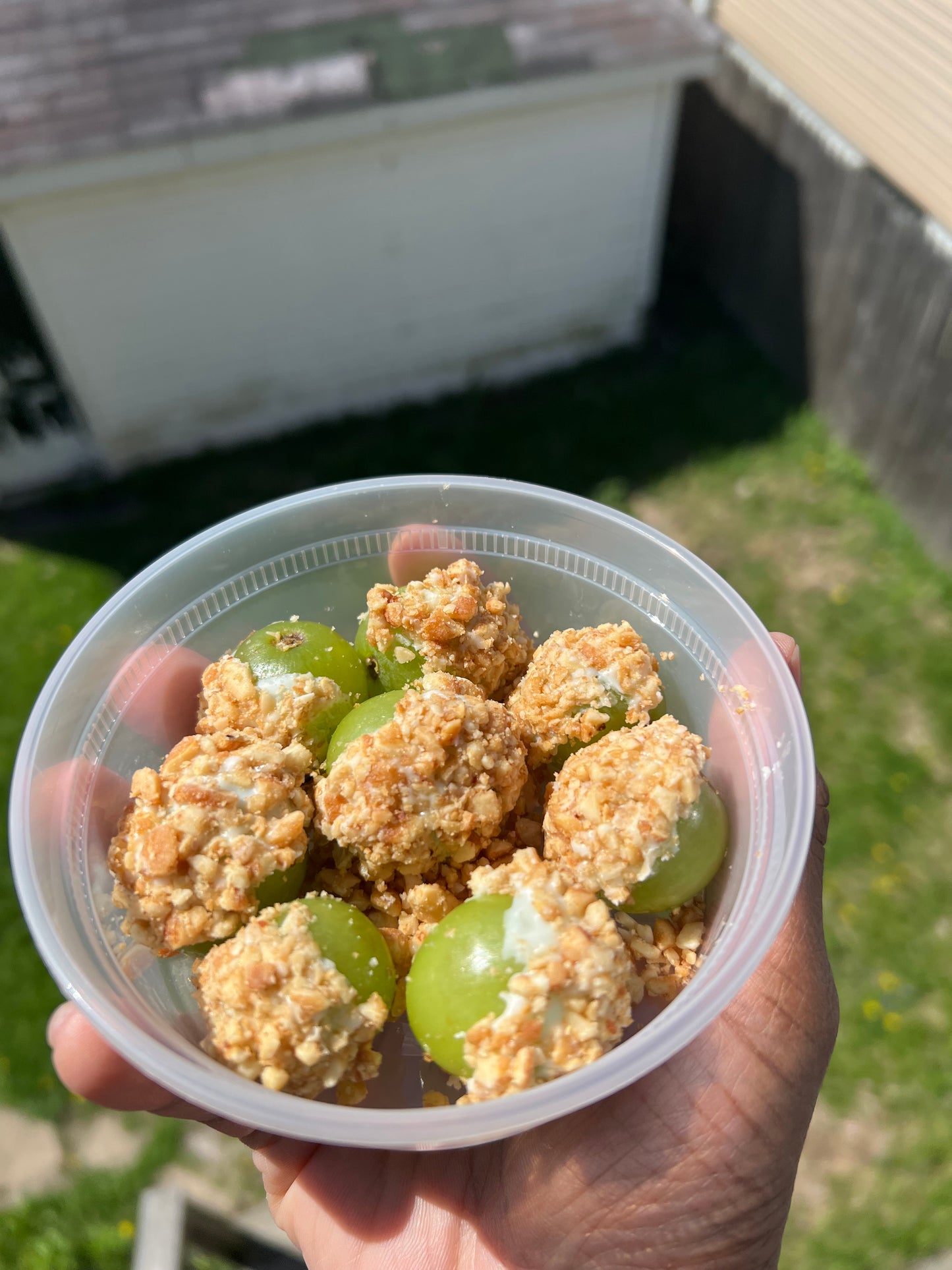 Taffy Grapes