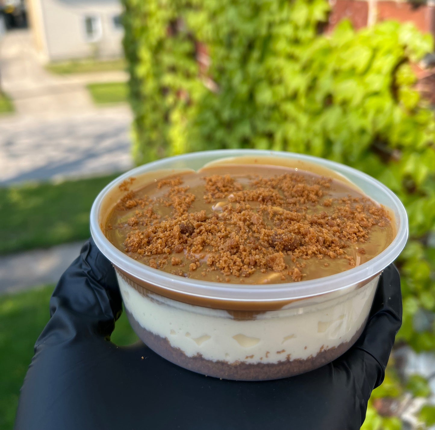 Cookie Butter Cheesecake